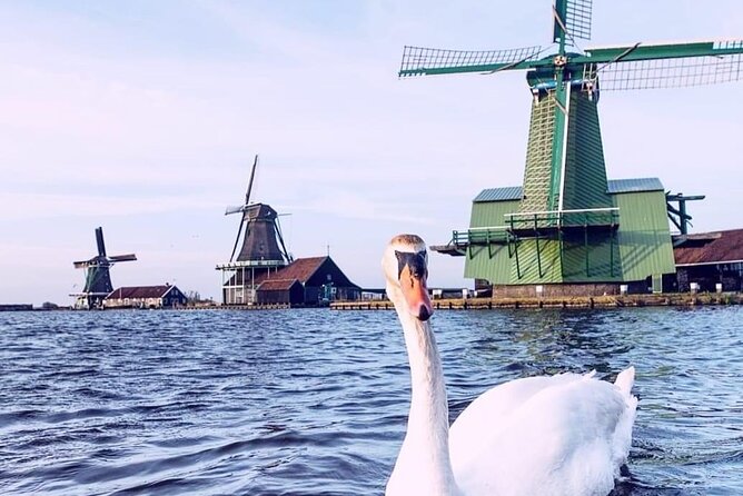 Keukenhof, Tulip Farm, Flower Fields & Zaanse Schans Windmills - Should you book this private Dutch countryside tour?