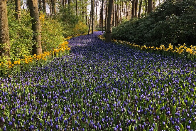 Keukenhof, Tulip Farm, Flower Fields & Zaanse Schans Windmills - Four hours among Keukenhof’s tulips
