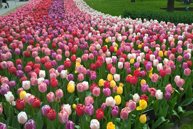 Keukenhof, Zaanse Schans Windmills Private Tour with Lunch - Why this Amsterdam day trip works