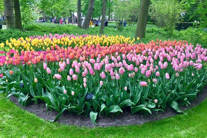 Keukenhof, Zaanse Schans Windmills Private Tour with Lunch - Clogs, cheese, and Dutch craft traditions