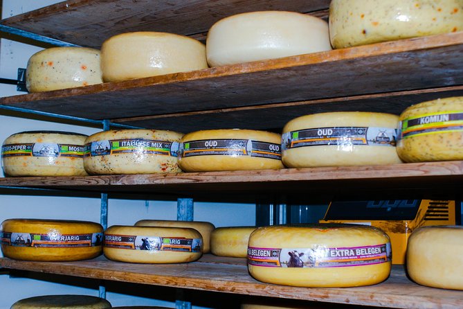 Kinderdijk Area Cycling Tour - Crossing from Rotterdam by waterbus
