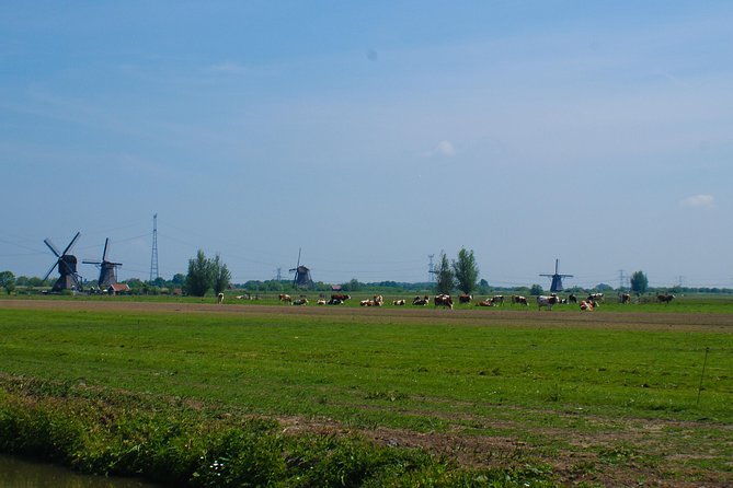 Kinderdijk Area Cycling Tour - Weather, fitness, and family planning