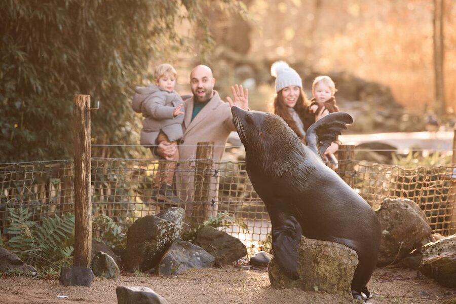 Leewarden: AquaZoo Entry Ticket - A practical plan for your day