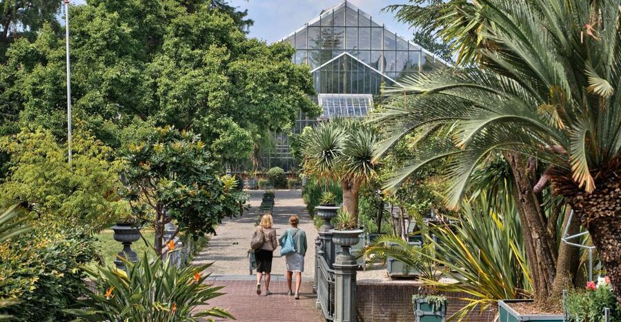 Leiden: Hortus Botanicus Entry Ticket - The Clusius Garden and Leiden’s botanical beginnings