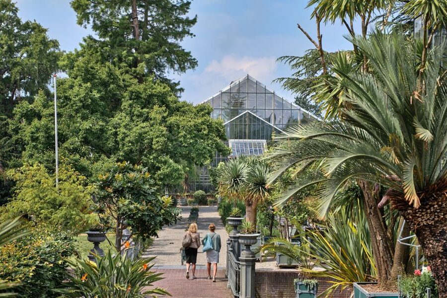 Leiden: Hortus Botanicus Entry Ticket - Tropical glasshouses and Southeast Asian plants