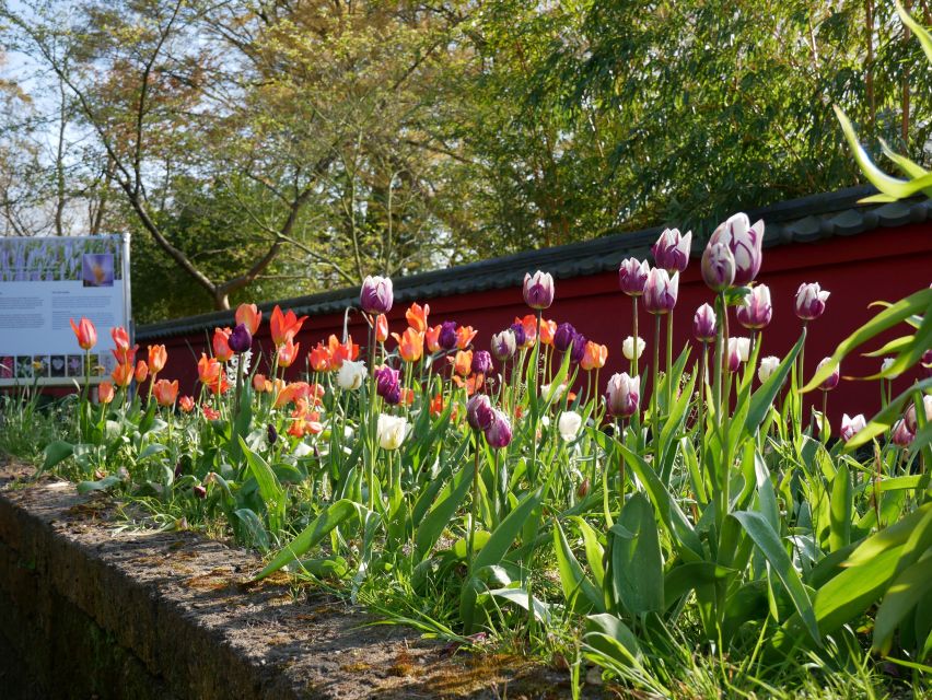 Leiden: Hortus Botanicus Entry Ticket - Seasonal highlights worth timing carefully