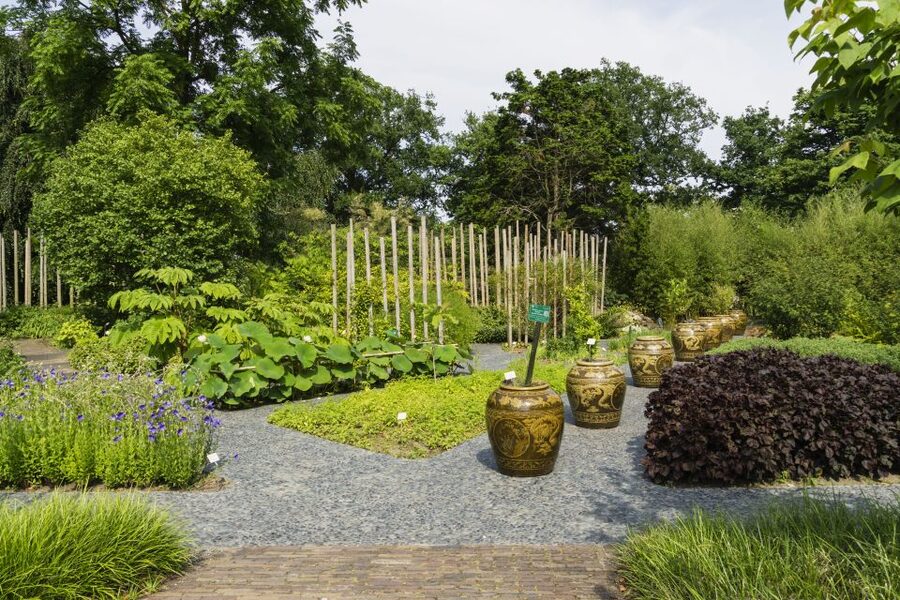 Leiden: Hortus Botanicus Entry Ticket - How long to allow and how the $13 ticket fares