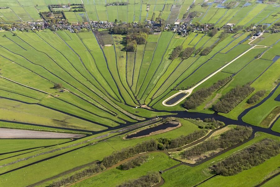 Lisse: Drive-it-Yourself Dutch Countryside GPS Audio Tour - A biological fruit orchard and cheese farm