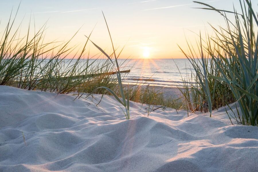 Lisse: Drive-it-Yourself Electric Dune & Beach Audio Tour - Following the 39-kilometer dune route