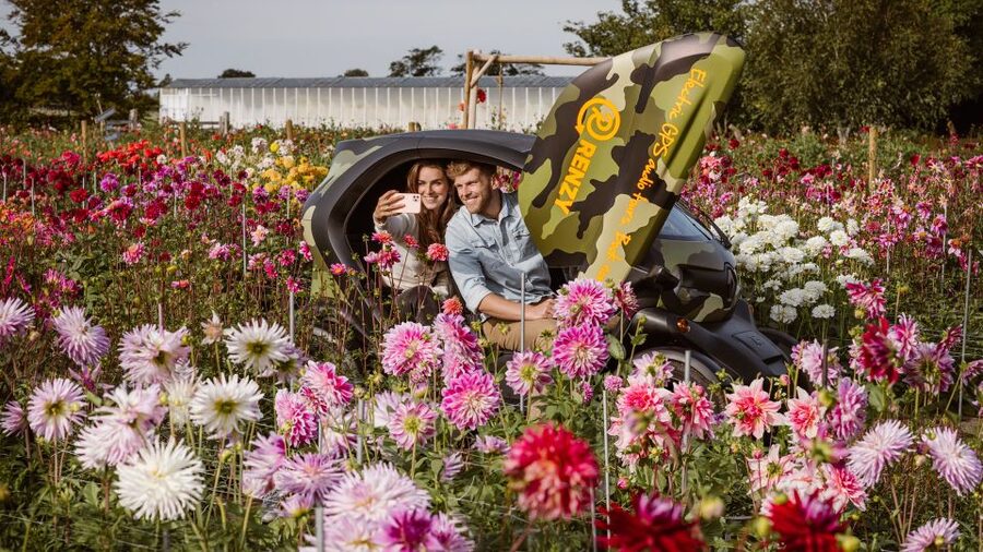 Lisse: Drive-it-Yourself Summer Flower GPS Audio Tour - Key points to know before booking