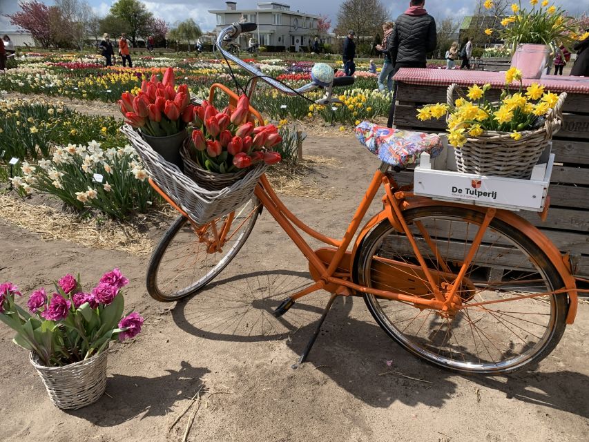 Lisse: Enjoy the Tulip Fields by Bike with a Local Guide! - Riding through the flower fields