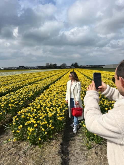 Lisse: Private Tulip Fields Tour with a Local Guide 1h Tour - Booking details that affect your day