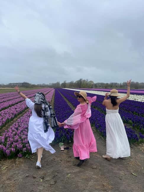 Lisse: Private Tulip Fields Tour with a Local Guide 1h Tour - Why this private Lisse tulip tour works