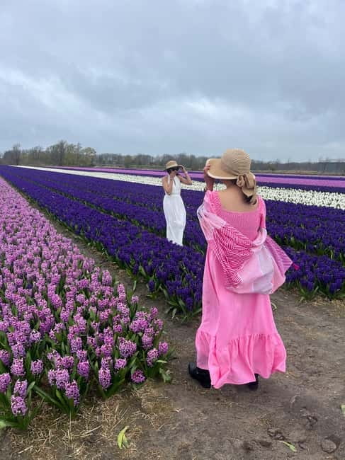Lisse: Private Tulip Fields Tour with a Local Guide 1h Tour - What the local guide adds