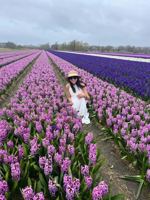 Lisse: Private Tulip Fields Tour with a Local Guide 1h Tour - Pickup from four towns and a short ride