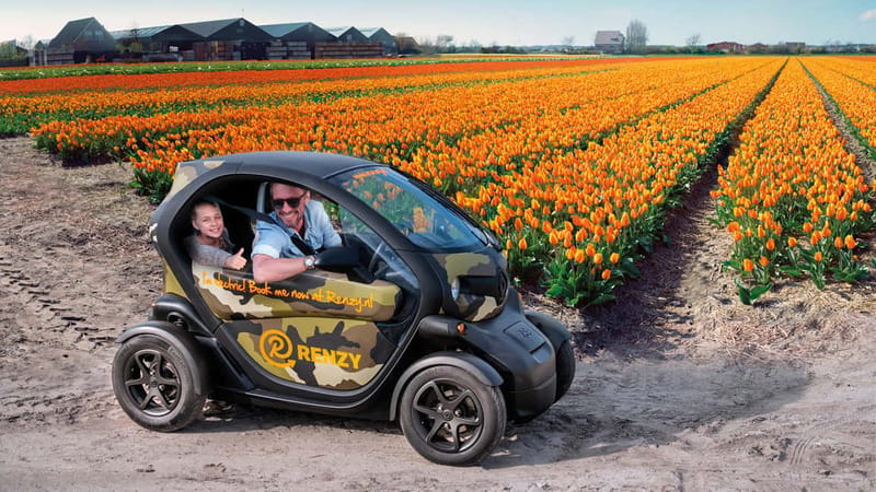 Lisse: Self-Guided Tulip Fields GPS Audio Tour - Following the 20-kilometer flower route