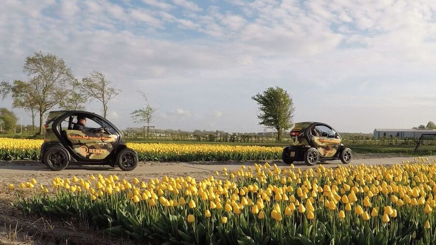 Lisse: Self-Guided Tulip Fields GPS Audio Tour - What $79 per person really buys