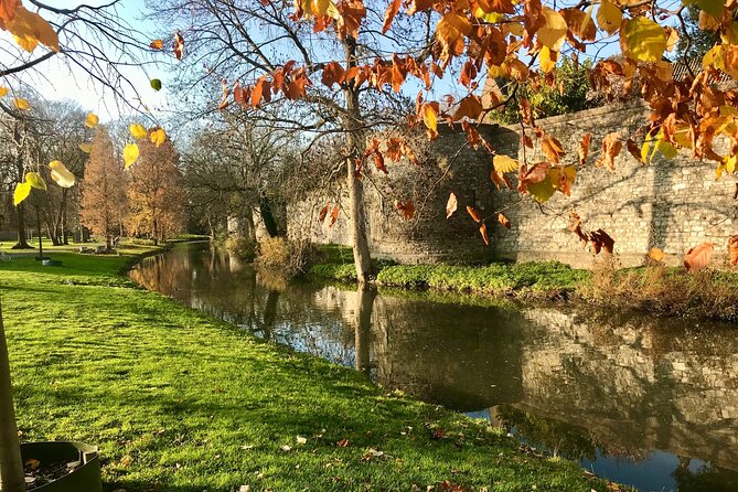 Maastricht Heritage and Nature Tour - What Rene adds to the experience