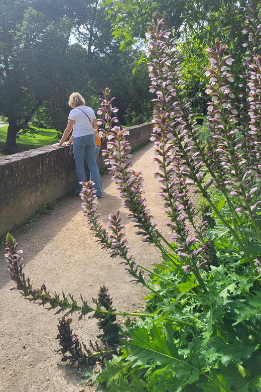 Maastricht Hidden Gems Tour Uncover the Unexpected - Het Vagevuur and the pleasure of small details