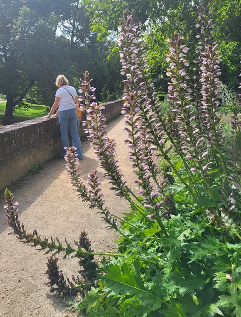 Maastricht Hidden Gems Tour Uncover the Unexpected - Why Maastricht makes a good walking tour city