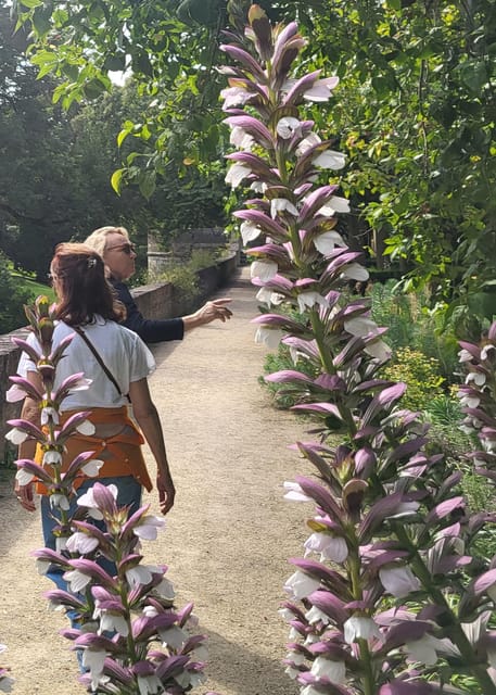 Maastricht Hidden Gems Tour Uncover the Unexpected - Bisschopsmolen and the sound of city life