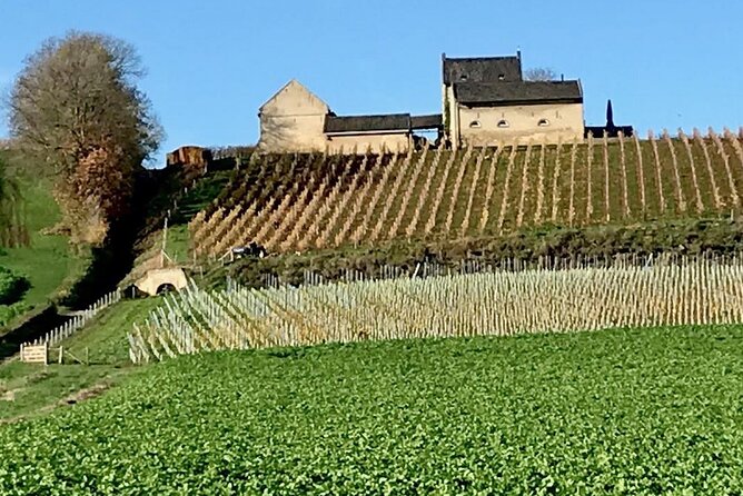 Maastricht Privat Sightseeing City Walk - How much walking should you expect?