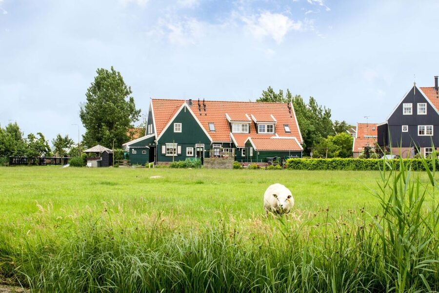 Marken, Volendam and Edam: Private Full-Day Tour - The 30-minute ferry across Lake IJsselmeer