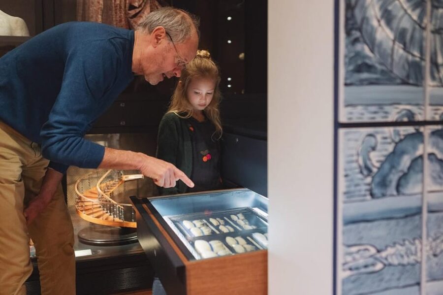 Middelburg: Zeeuws Museum Entry Ticket - Access, bags, and practical limits