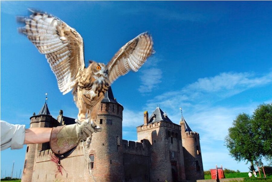 Muiden: Entry Ticket to Muiderslot Castle - Medieval life behind the walls