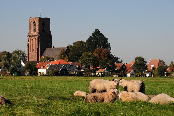 Off the Beaten Paths Dutch Landscape Private Tour 1/2 day Jaguar - Remco’s guiding style