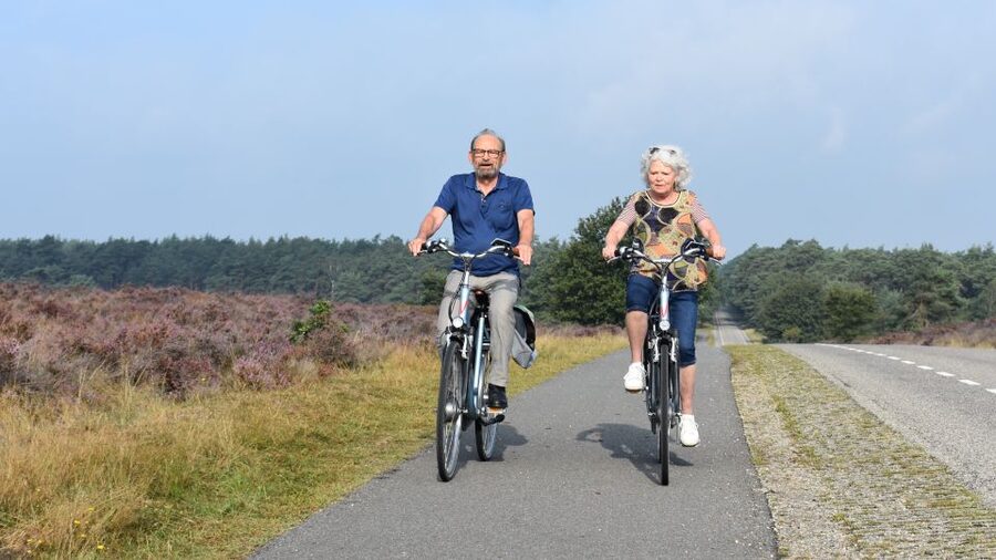 Otterlo: De Hoge Veluwe National Park Entry & E-bike - Riding across wet and dry heath