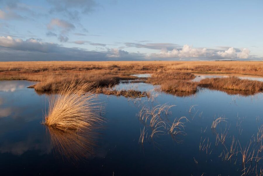 Otterlo: De Hoge Veluwe National Park Entry Ticket - Key points to know before you go