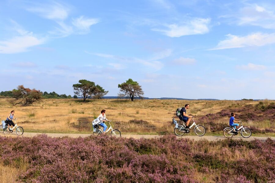 Otterlo: De Hoge Veluwe National Park Entry Ticket - Cycling through forest, heath, and sand