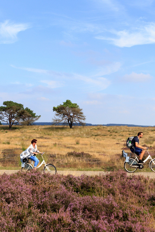 Otterlo: De Hoge Veluwe National Park Entry Ticket - Adding the Kröller-Müller Museum