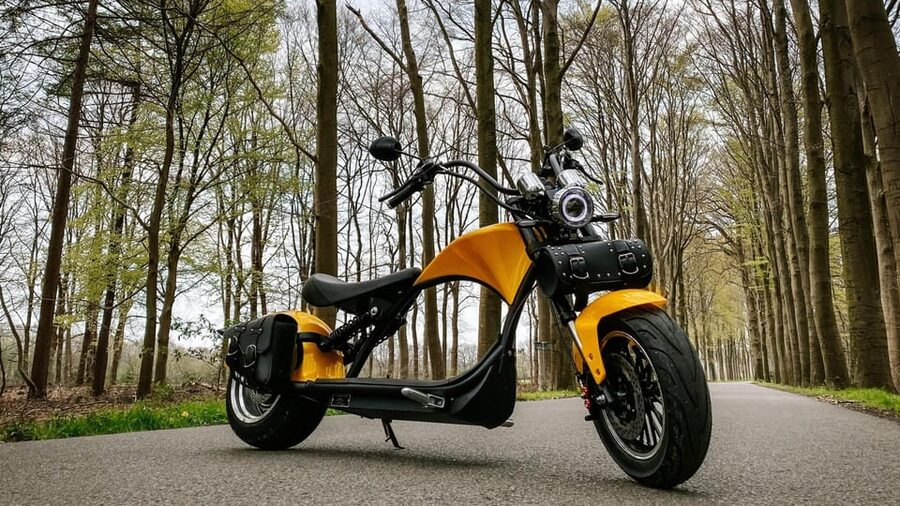 Otterlo: E-chopper rental - Key points to know before you ride