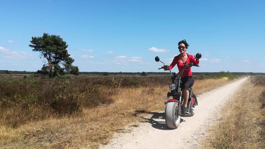 Otterlo: E-chopper rental - A route through forests, heath, and sand