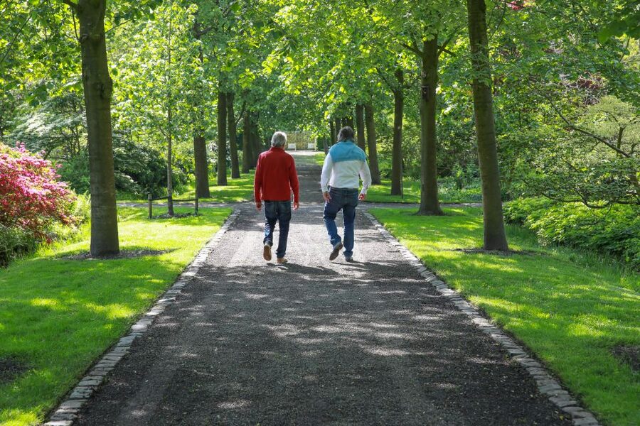Oudenbosch: Guided City Walk - Why Oudenbosch makes a good one-hour walking tour