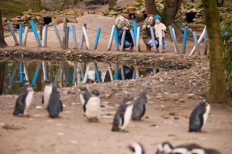 Overloon: ZooParc Entrance Ticket - Why ZooParc Overloon feels different from a typical zoo