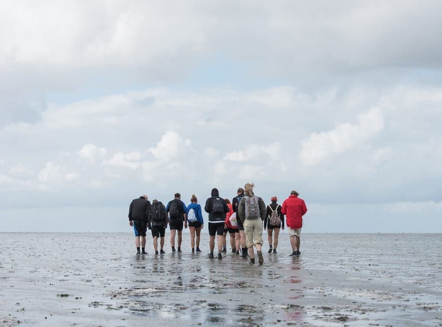 Pieterburen: Wadden Sea Mudflats Guided Walking Tour - Key points to know before you go