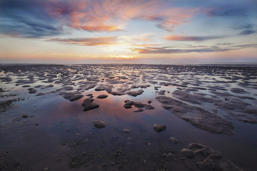 Pieterburen: Wadden Sea Mudflats Guided Walking Tour - Why the Wadden Sea mudflats feel so different