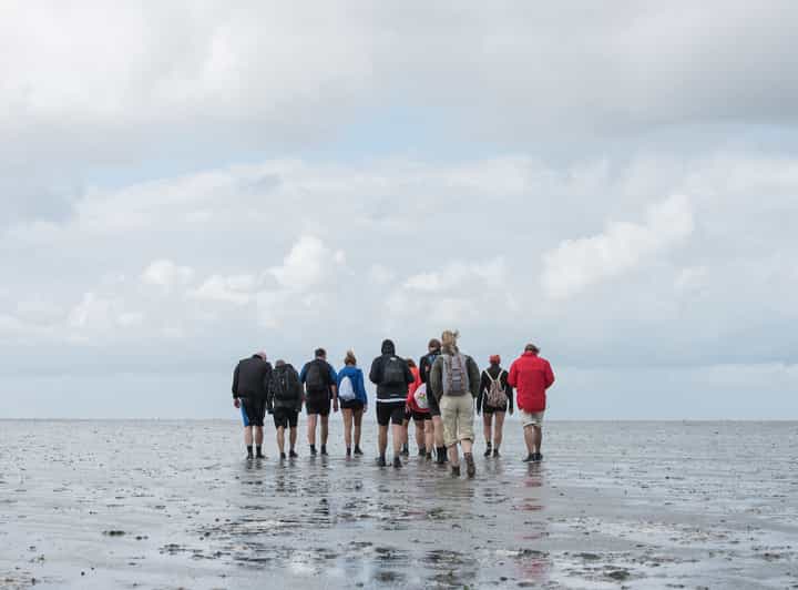 Pieterburen: Wadden Sea Mudflats Guided Walking Tour - Across Noordpolder and Zijltocht canals