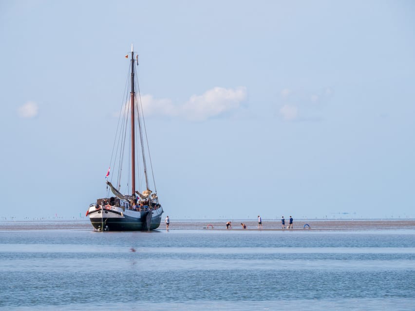Pieterburen: Wadden Sea Mudflats Guided Walking Tour - Photographs, weather, and the right mindset