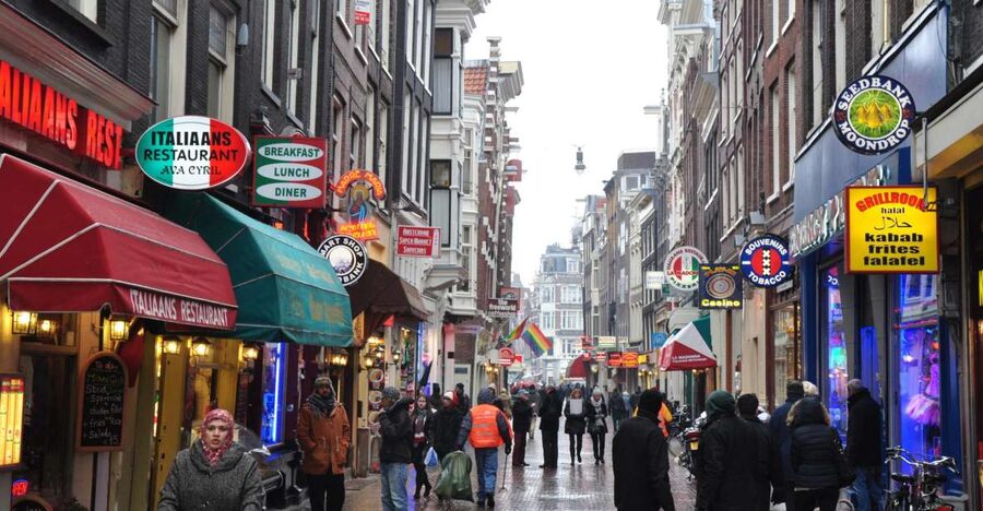 Private Amsterdam Walking Tour - Key points to know before booking