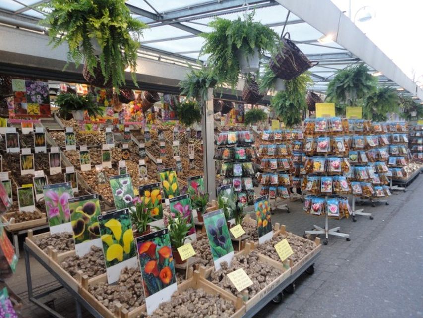 Private Amsterdam Walking Tour - Starting at Central Station or the Park Plaza Victoria Hotel