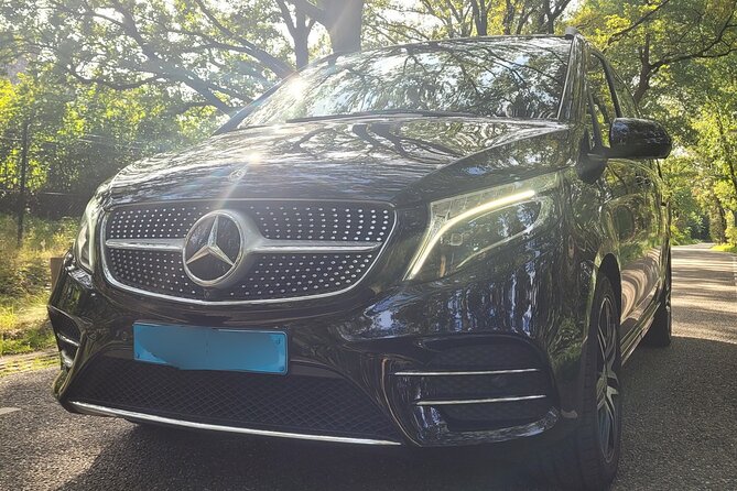 Private Arrival Transfer: Schiphol Airport Amsterdam - Landing at Schiphol and finding your driver