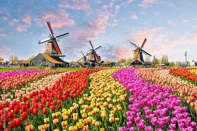 Private Countryside Tour From Amsterdam - Key points to know before booking