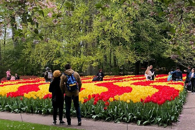 Private Day Tour to Keukenhof Gardens - from Amsterdam/Rotterdam - The drive through South Holland