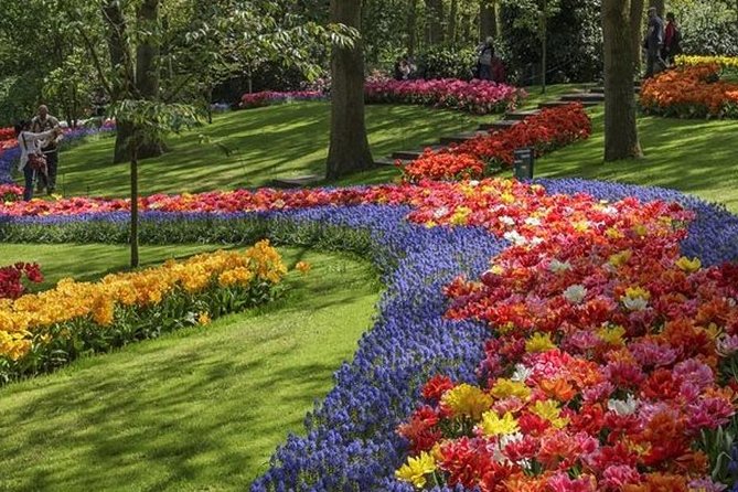 Private Day Tour to Keukenhof Gardens - from Amsterdam/Rotterdam - Price, group size, and overall value