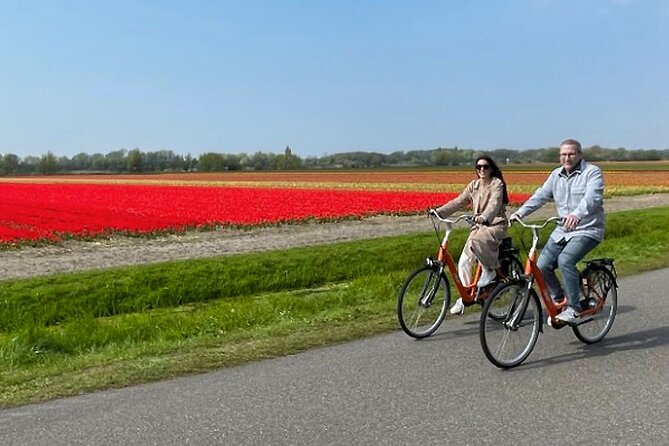 Private Day Tour to Keukenhof Gardens - from Amsterdam/Rotterdam - Timing, pickup, and practical planning