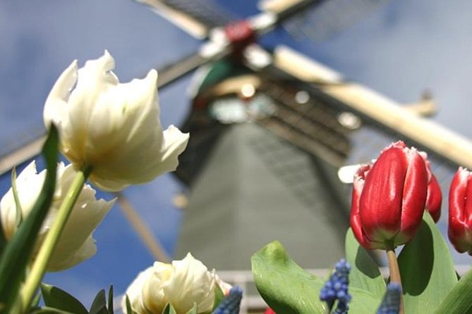 Private Day Tour to Keukenhof Gardens - from Amsterdam/Rotterdam - My take: book it for flexibility, not just flowers